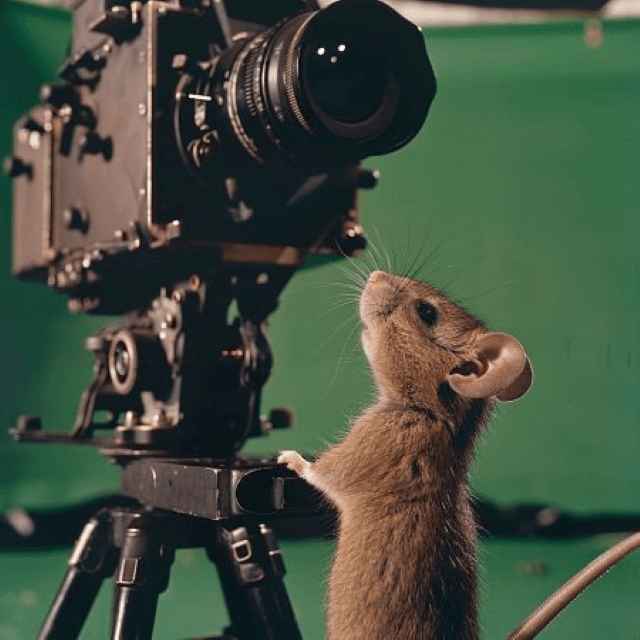 AI-Integrated VFX Supervision and Post-Production Course